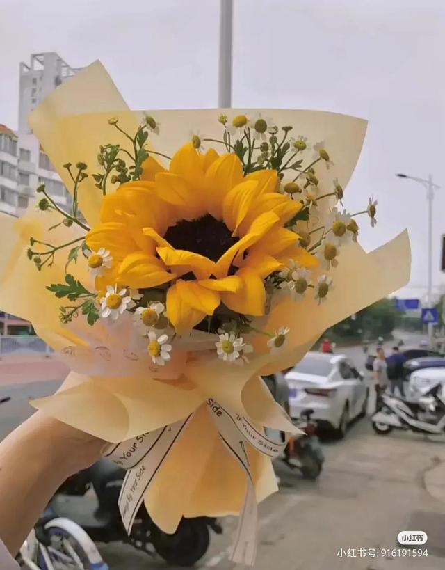 向日葵为什么不能送人，向日葵可以随便送人吗（请不要随意送别人向日葵）