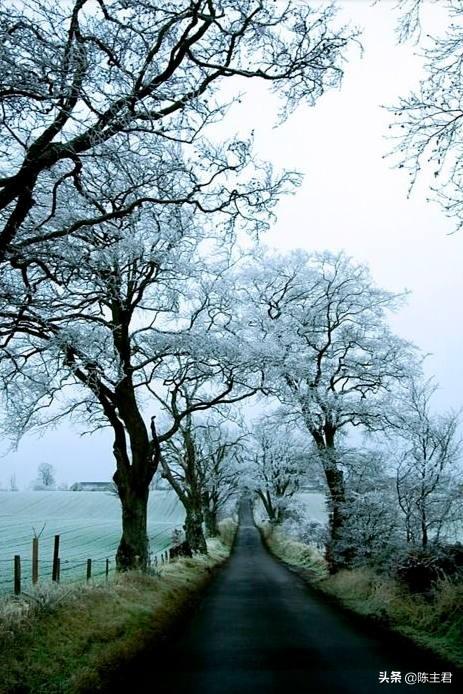 内蒙古人所说的风季是哪个季节，蒙古人的风季是什么季节（中国历史地理常识大全）