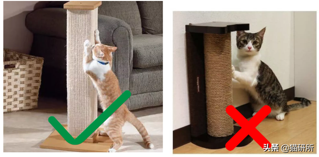 怎么防止猫咪抓沙发，怎么防止猫咪抓沙发跑（终于找到让猫咪不挠沙发的办法了）