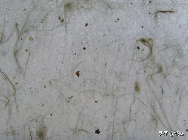 造纸术发明于哪个朝代，蔡伦改进造纸术是什么朝代（但是你知道中国造了那些纸张吗）