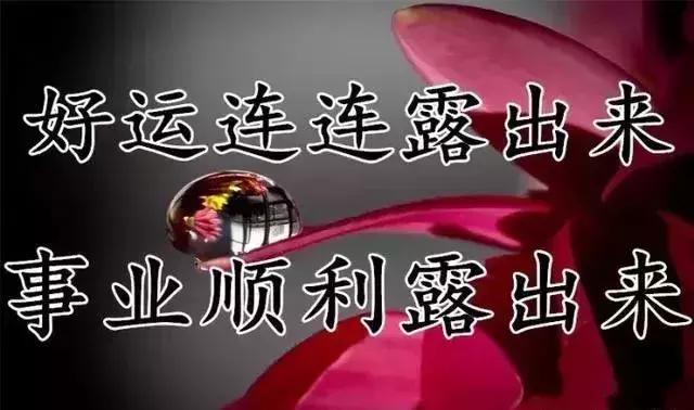 关于寒露的祝福短信，寒露祝福短语（最美的祝福送上）