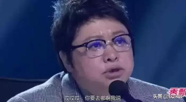 还音是什么意思，唱歌还音是什么意思（和打压新歌手的韩红）