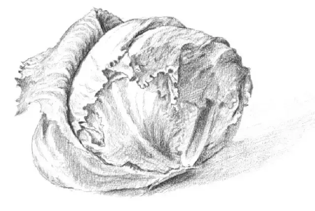 画素描步骤有几个，画一幅素描的基本步骤（零基础，也能画好的素描教程）