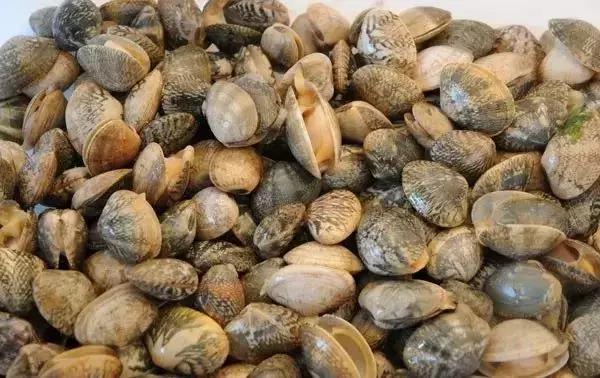 请问清炸小扒皮鱼的做法，炸小剥皮鱼的做法大全（今后再也不怕不认识海鲜了）