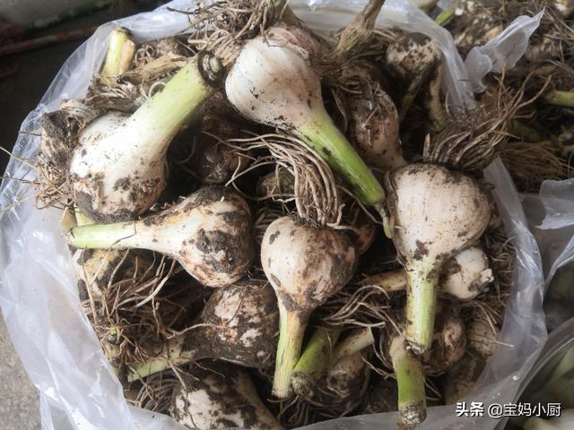 怎么样腌咸蒜好吃，自己动手腌咸蒜（实拍内蒙农村腌咸蒜）