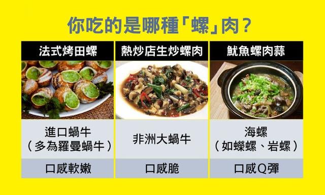 蜗牛的天敌是什么，蜗牛怕什么东西（在这种巨型蜗牛面前）