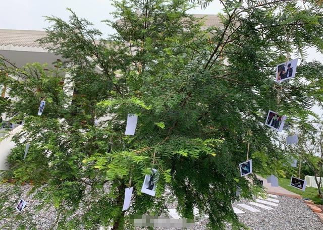 CP粉太疯魔！给肖战王一博办婚礼，现场布满气球，戴面具公主抱