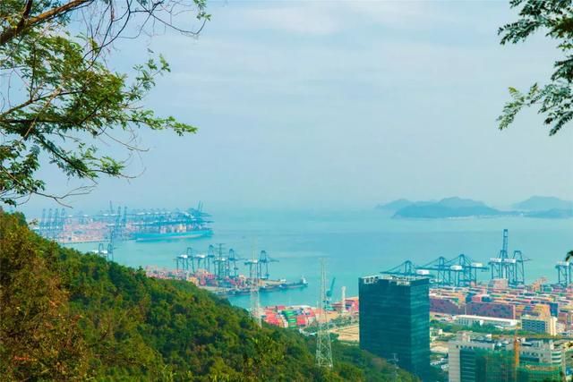 野生吊钟花什么时候开花，吊钟花结果吗（鲜艳的春节红已提早报春）