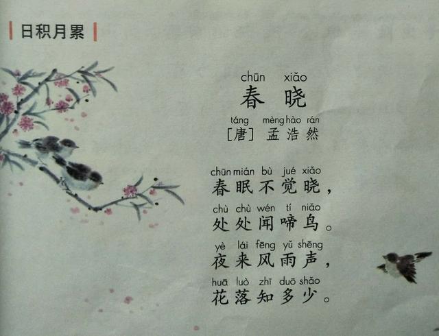 时刻的相近词，时刻是近义词吗（小学一年级语文第二单元知识总结）