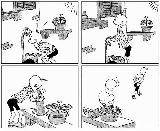 木行念什么，一个木字旁一个行念什么（“三毛”究竟经历了什么）