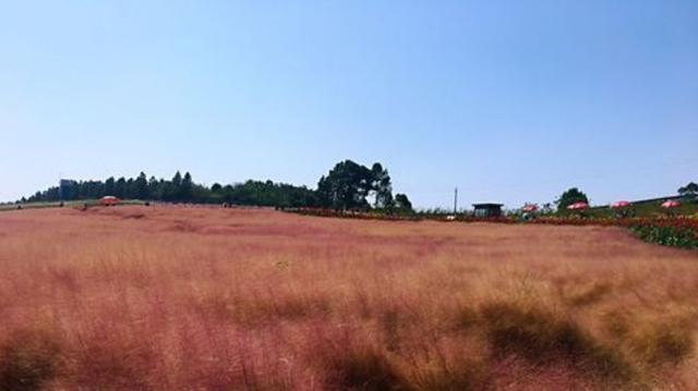 岳阳旅游景点大全，岳阳周边一日游10个必去景点（不错过任何风景的攻略——游遍中国第十一站）