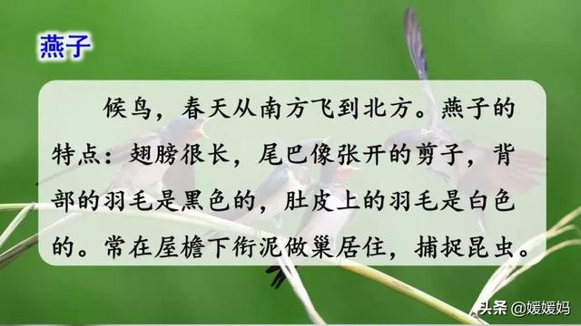 我一生中的重要抉择生字词拼音，登时的拼音（登时的拼音与意思）