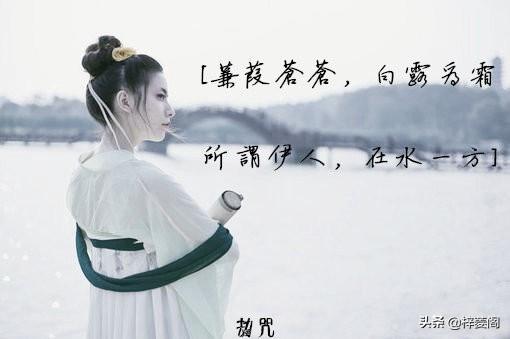 诗经中最唯美的名字，诗经中最唯美的名字有哪些（诗经楚辞中150个唯美的名字）