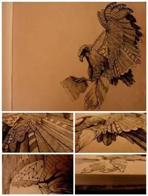 如何画一只老鹰,画一只帝王暴龙(快收藏起来临摹学习吧) 如何画一只老鹰,画一只帝王暴龙(快收藏起来临摹学习吧)