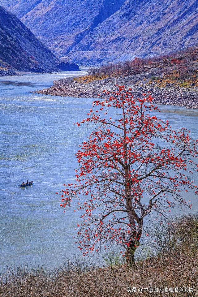 攀枝花是哪个省的城市，西部区（“四川特区”攀枝花）
