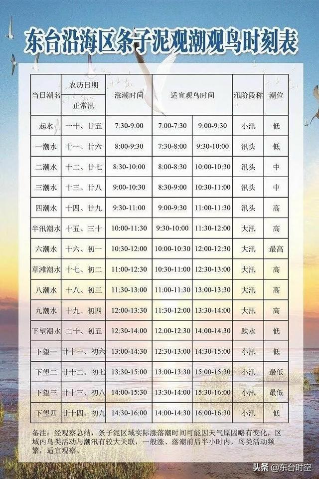 今日涨潮时间表，如东海域的每天的涨潮时间表（东台条子泥湿地观潮观鸟时刻表）