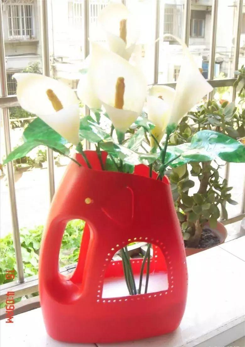 图片作者:闲着的人网友"闲着的人"的洗衣液桶花盆孔雀海豚湾"海的女儿