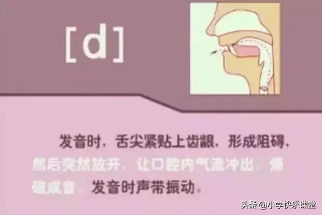 音标读音表发音教学，音素表怎么写（48个国际英语音标发音表及口型）