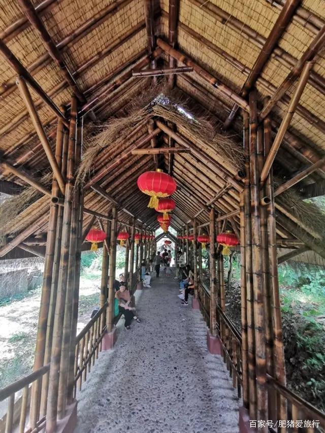 中国有几个竹海哪个更出名，中国哪个竹海最美（如今是不是还值得一去呢）