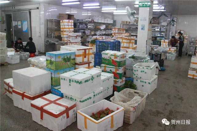 豆妃是什么，豆妃是什么样子（贺州豆杯在香港一斤能卖80元港币）