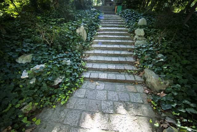 梦游天姥吟留别原文，梦游天姥吟留别原文鉴赏（李白写了一篇梦游神作跟朋友告别）