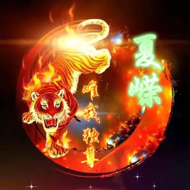 卡通老虎图片，虎（霸气虎全名微信头像：唯我独尊）