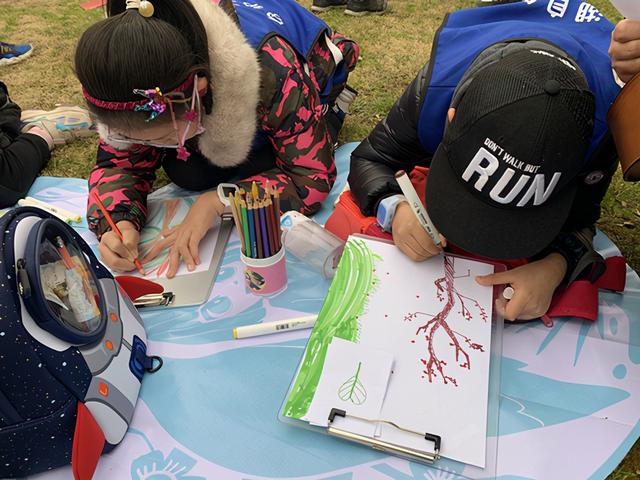 蔷薇三姐妹最根本区别，试问蔷薇、月季、玫瑰有何区别