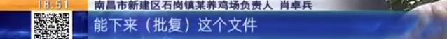 养鸡场投资多少钱，养1000只鸡需投资多少（男子投资200万元的养鸡场）