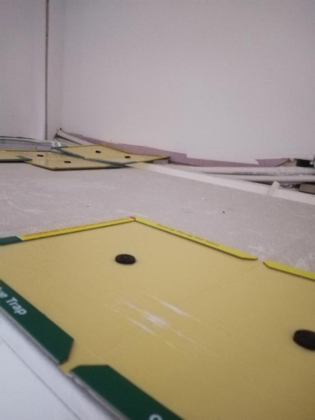 吊顶里面有老鼠怎么除掉，老鼠在吊顶里怎么去除（家庭灭鼠最安全方法一一粘鼠板捕捉）