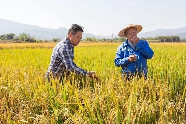 干饭是什么意思，网络词干饭是什么意思（中国干饭地图：天南海北）