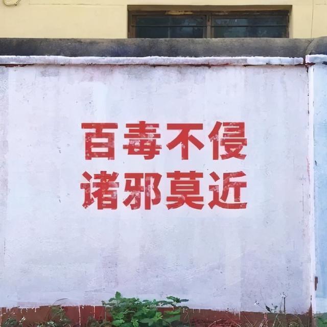 微信好看的背景图，微信朋友圈最好看背景图（个性、沙雕、励志文字控）
