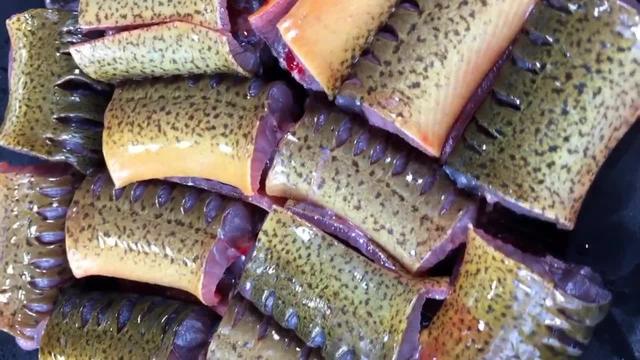 红烧黄鳝的做法，红烧黄鳝最简单做法（红烧黄鳝的正确做法）