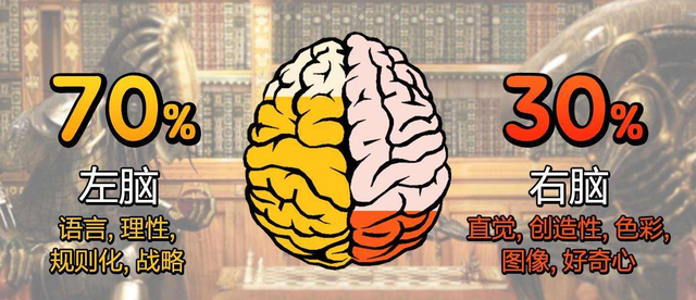 左脑型思维者介绍，左脑脑型思维者的特点（决定了你是什么样的一个人）