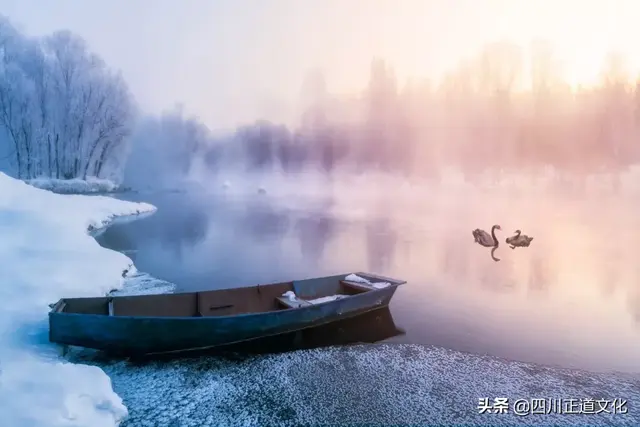 曱甴是什么意思，曱甴是什么意思啊（爿：这些汉字天生一对）