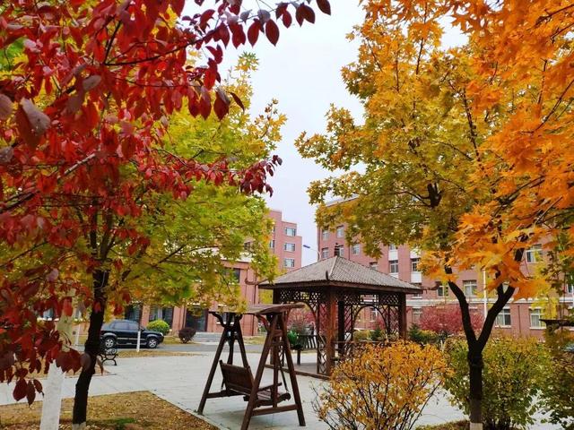 辽宁科技大学宿舍，2021年辽宁科技大学新生宿舍条件图片环境怎么样（<十五>辽宁科技大学）