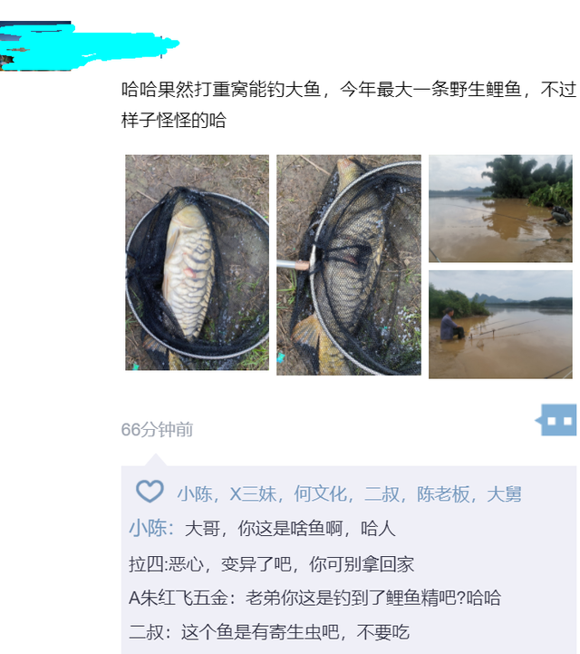 三道鳞鱼为什么不能吃，三道鳞可以吃吗（浙江男子河里钓了条大鲤鱼）