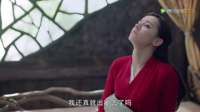 息泽就是东华吗，三生三世枕上书小说中在阿兰若之梦中凤九是否知道（剧情67,阿兰若版本小白几乎接不住）