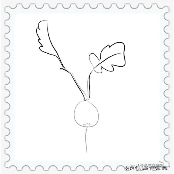 萝卜的简笔画大全大图，儿童简笔画精选-水萝卜的绘画步骤