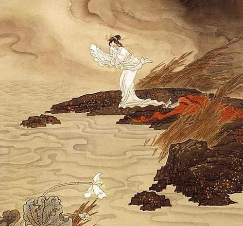 为什么孔雀东南飞，孔雀为什么东南飞（还在纠结孔雀为什么要向东南飞）