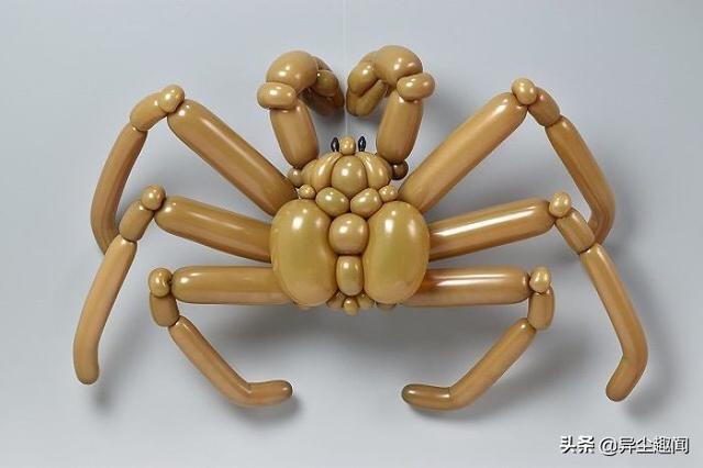 用气球做小动物教程，教你用气球做小狗的方法（日本艺术家用气球制作了令人难以置信的动物模型）