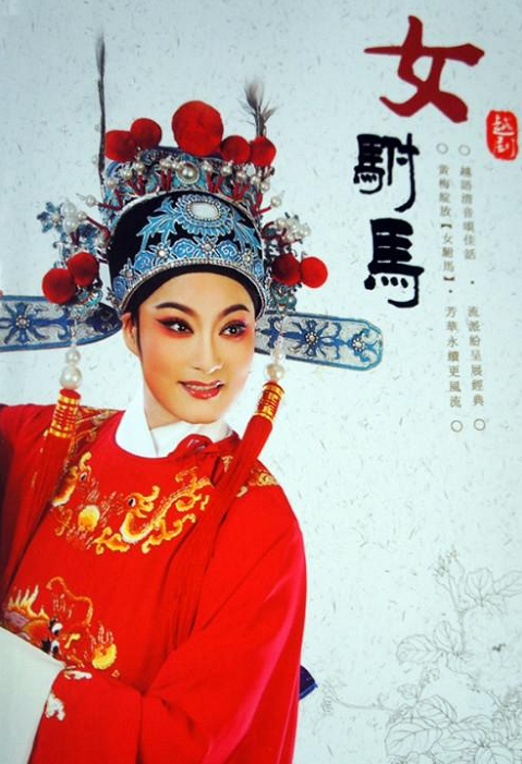 女驸马故事简介，她的历史背景又是怎样的呢