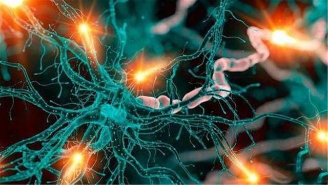 章鱼血是什么颜色，章鱼的血是什么颜色的（章鱼有9个大脑能编辑基因）