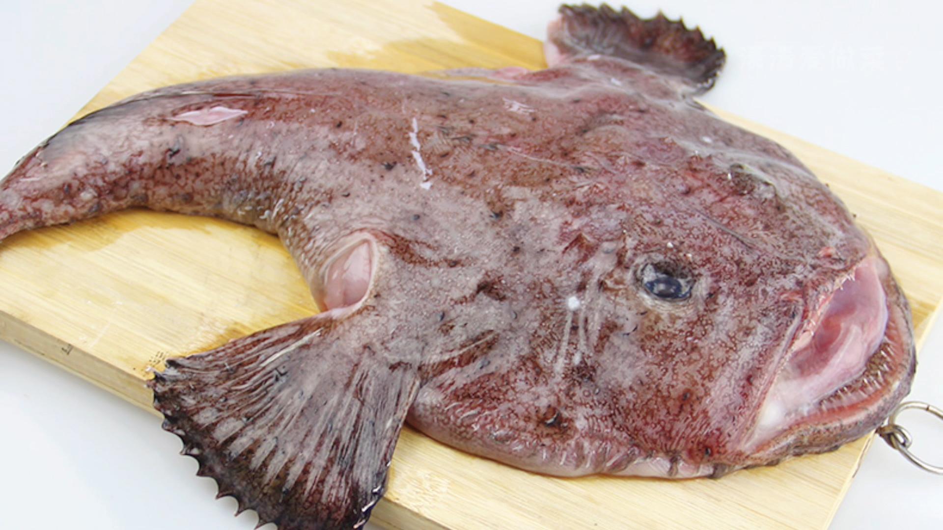 常见的深海鱼有哪些，市面上卖的深海鱼种类介绍