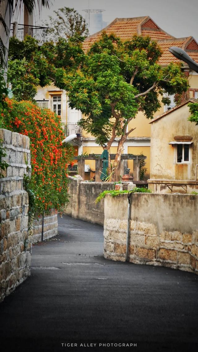 厦门看海的地方有哪些，厦门什么地方看海最好（藏在厦门的海风里~）