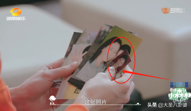 张新成和谭松韵长得像，说不是姐弟可能都没人信