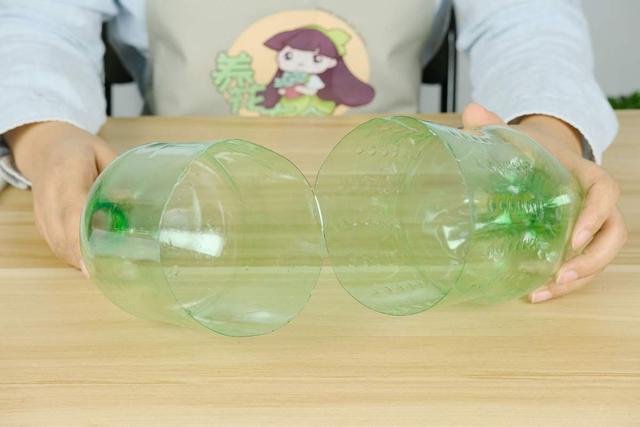 扦插的原理和特点有哪些，扦插的基本原理（教你两招扦插方法）