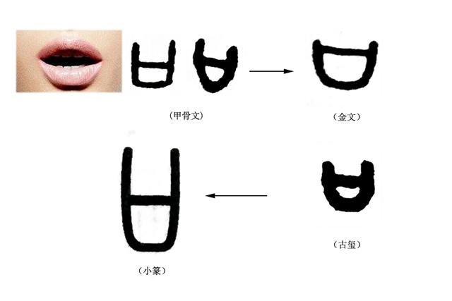 一什么之交填量词，一什么关系填量词（《说文解字》第143课）