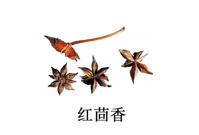 小茴香和大茴香有什么区别，小茴香与大茴香区别（真假茴香<八角>）