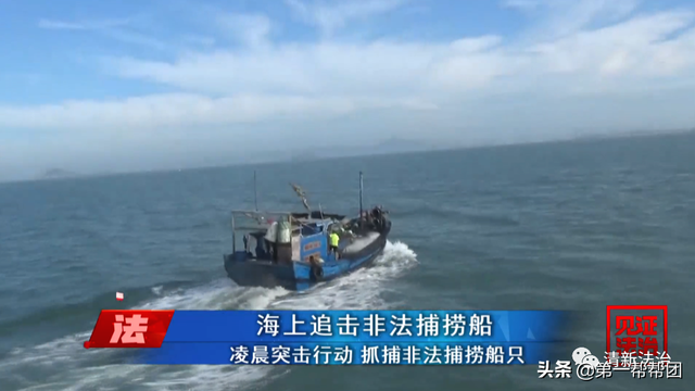 鲎是保护动物吗，鲎是保护动物吗为啥（休渔期非法捕捞国家保护动物中华鲎）