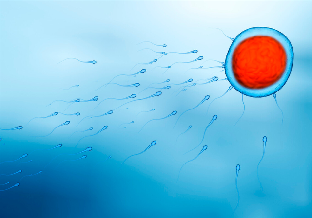 第三代试管婴儿费用，第三代试管婴儿费用大约多少2（做第三代试管婴儿要多少费用）